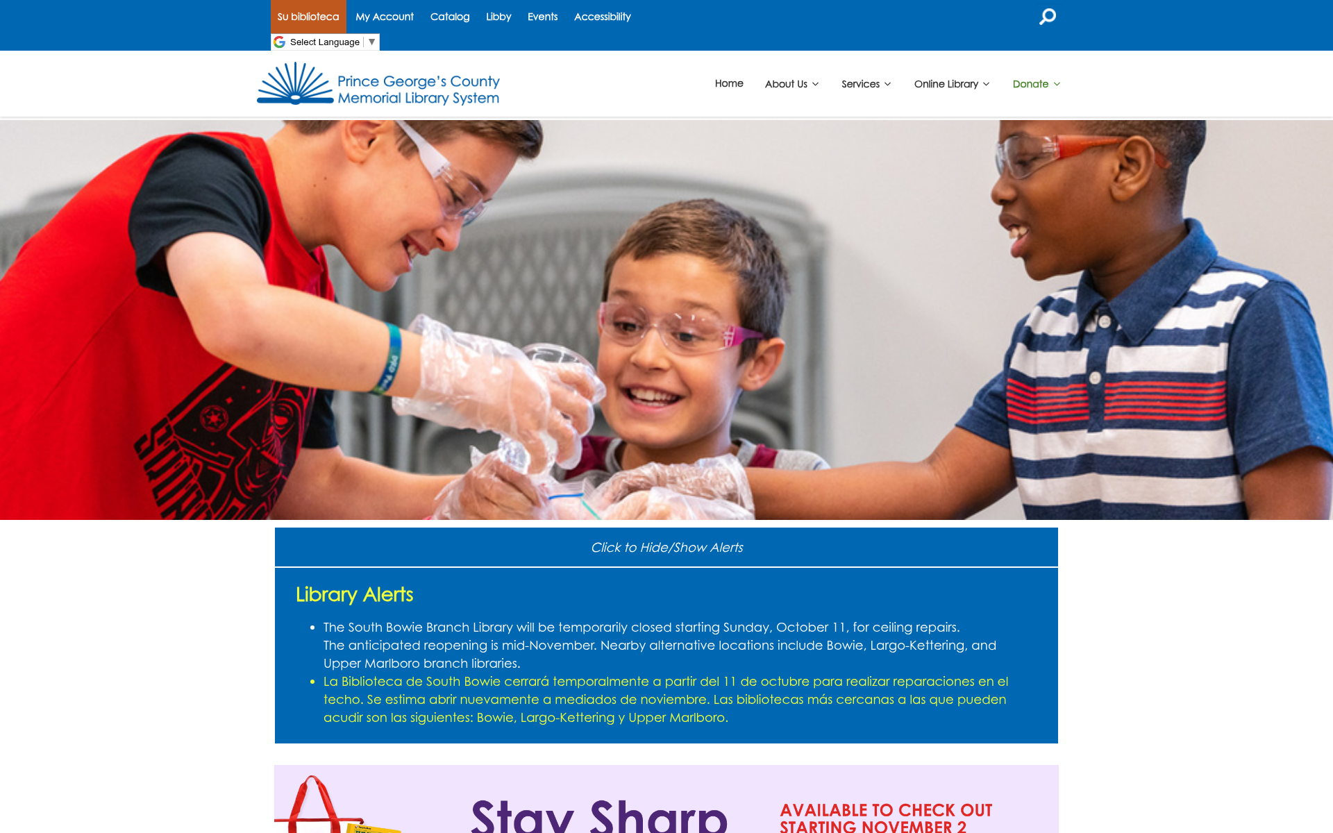Screenshot of pgcmls.info