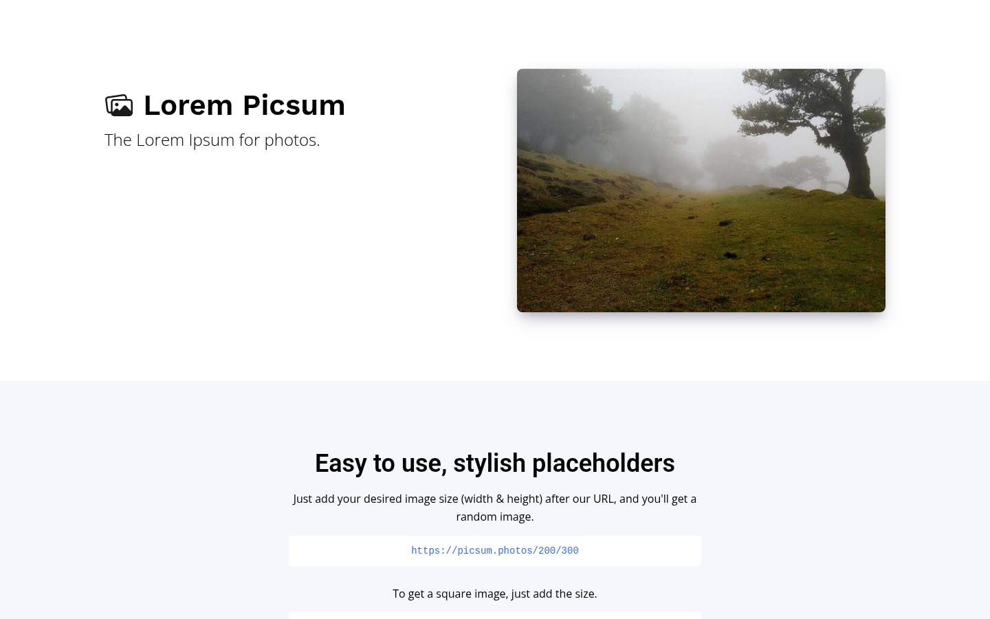 Screenshot of picsum.photos