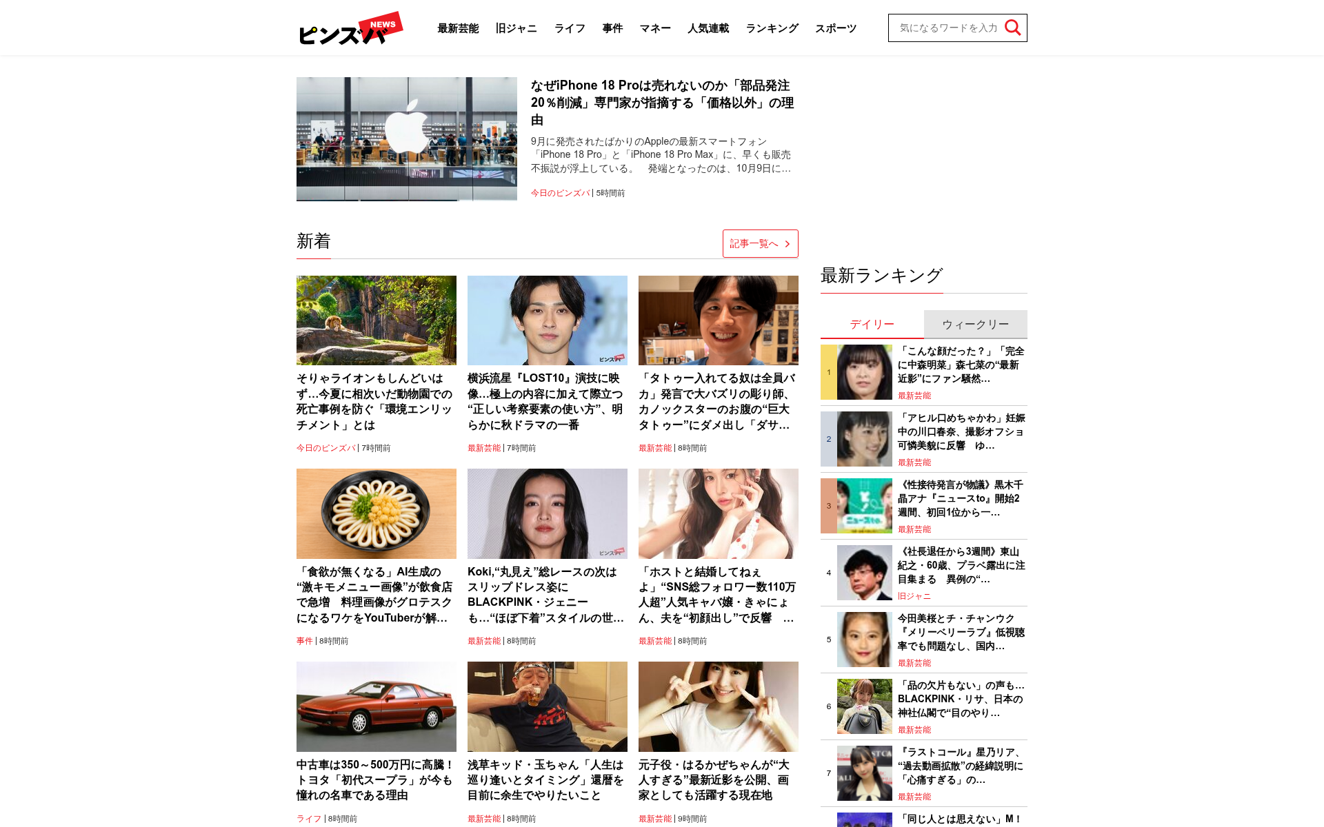 Screenshot of pinzuba.news