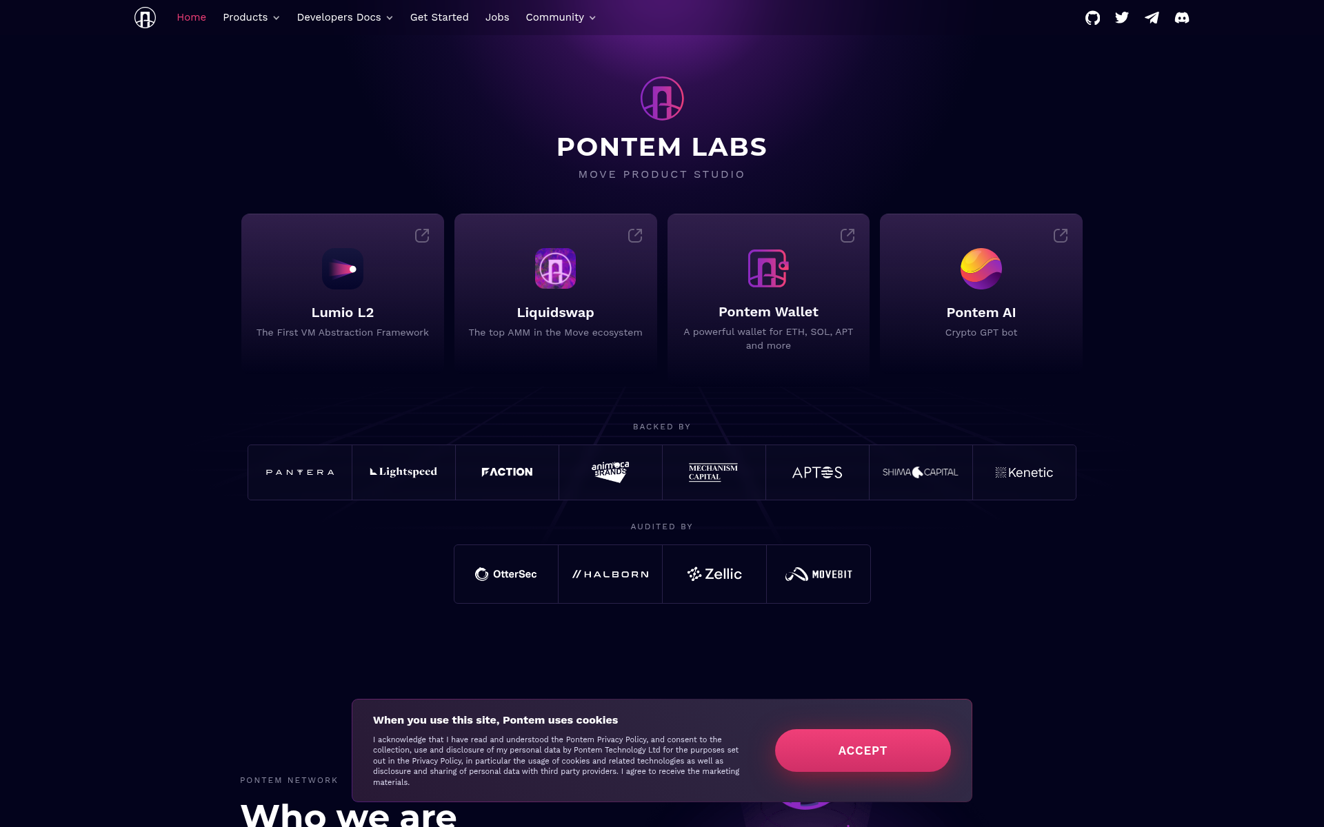 Screenshot of pontem.network