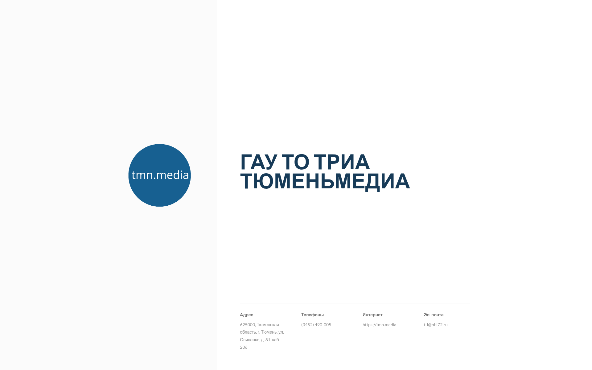 Screenshot of tmn.media