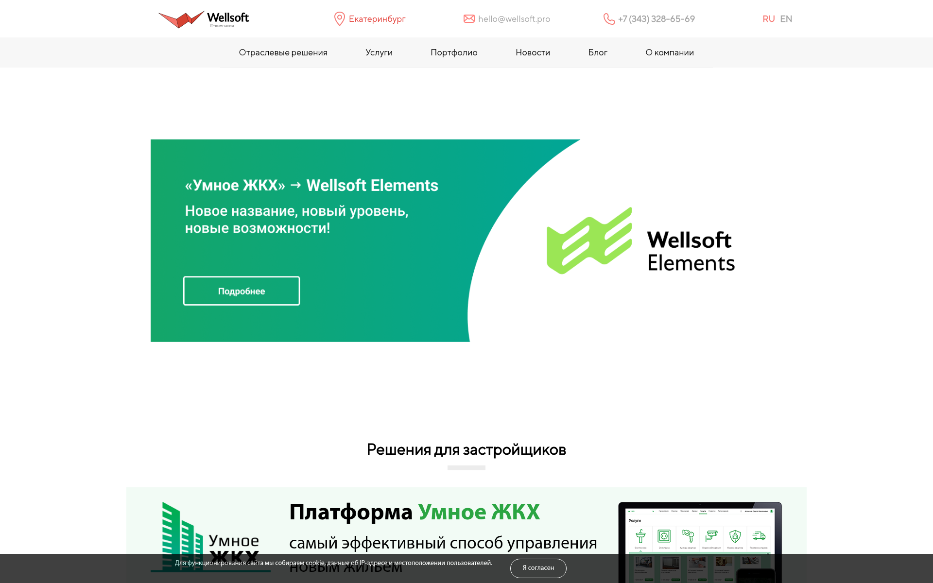 Screenshot of wellsoft.pro